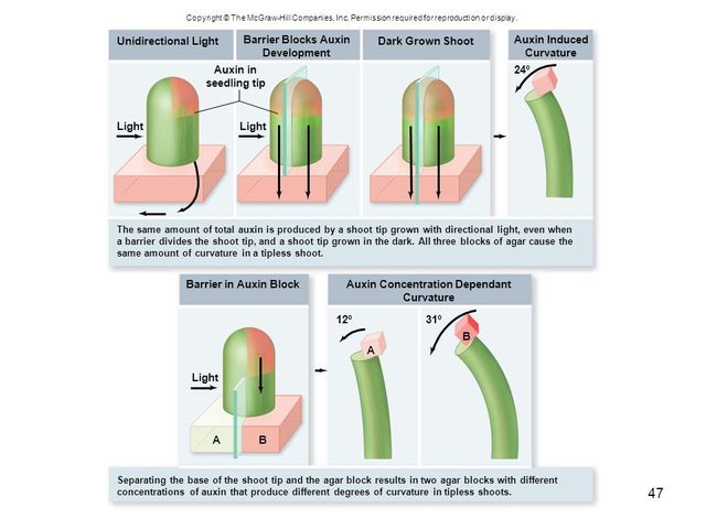 Discovered the first PGR