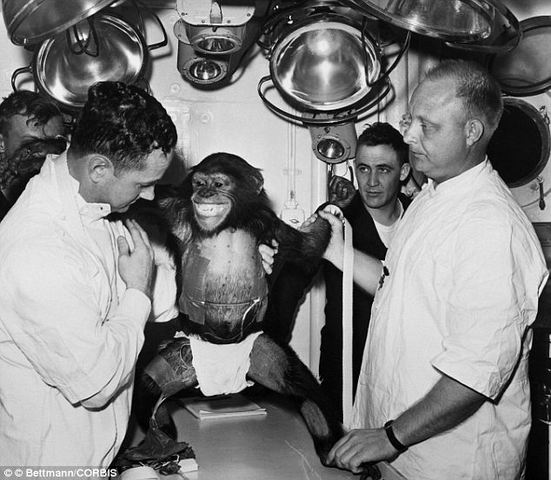 First Primates in Space