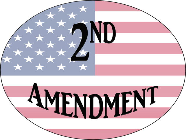 aprobó la segunda enmienda