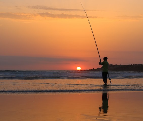 Dia siete: Mis padres van a pescar muchos peces en la oceano.
