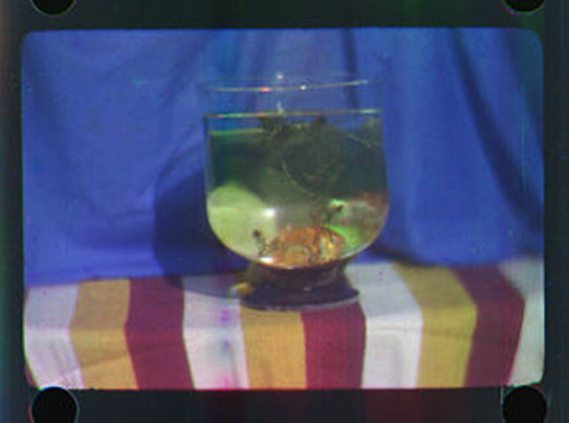 Película en colores