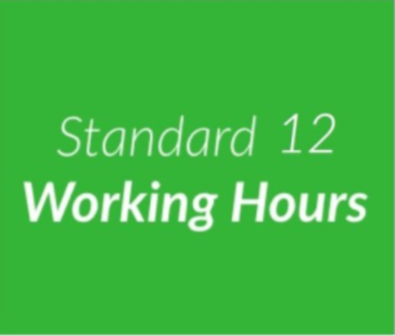 Working Hours