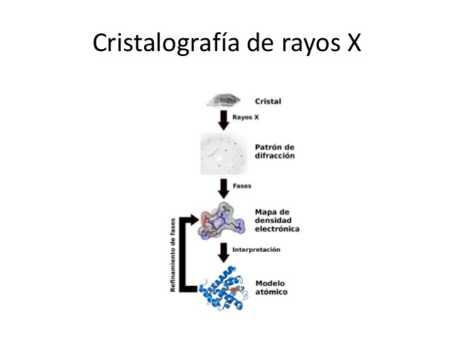 cristalografia de rayos x