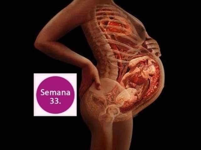 Semana 33