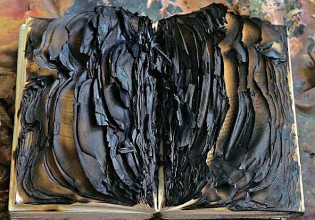 Qin burns books not in his reign