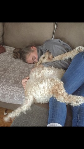 Je suis a dormir apres ecole.