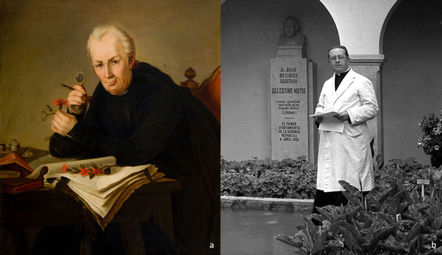 Cargo profesional en Colombia