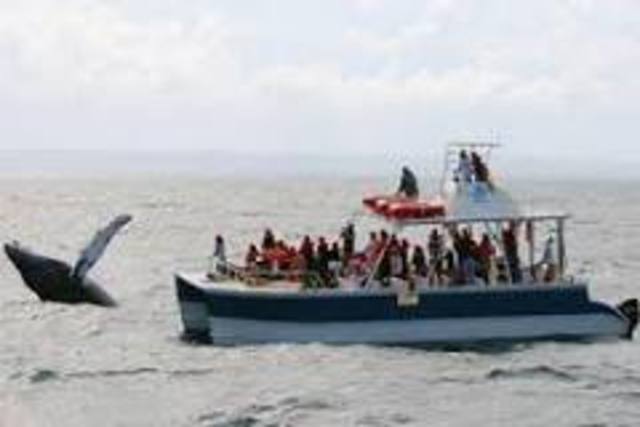 Dia ocho en domincan republic