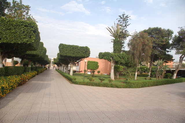 Have chosen English department 2017