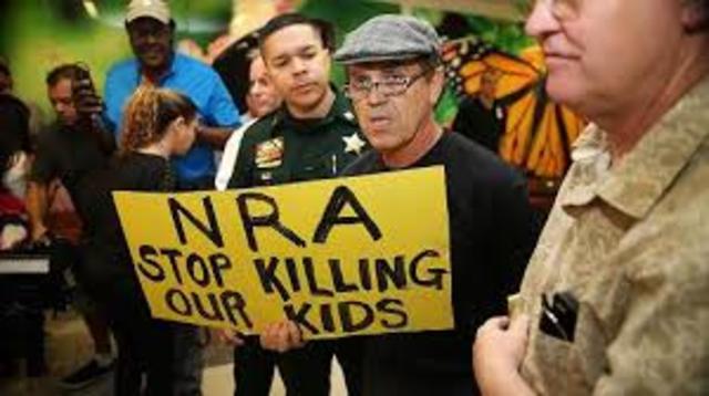 El NRA versus la Florida