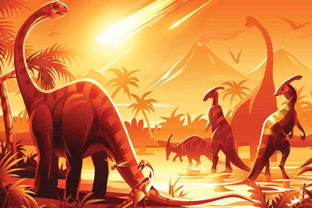 65 Millones de años