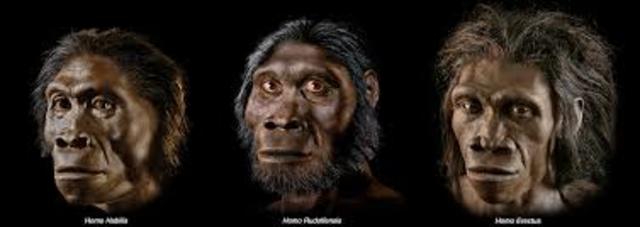 1.8 Million Years Ago