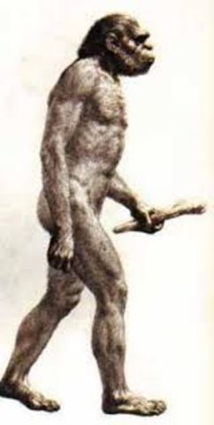 2.5 Millones de años