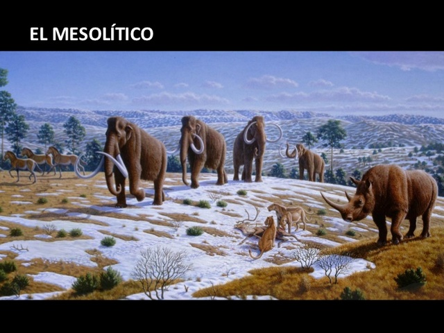 MESOLÍTICO (40 000 - 10 000 a.C.)