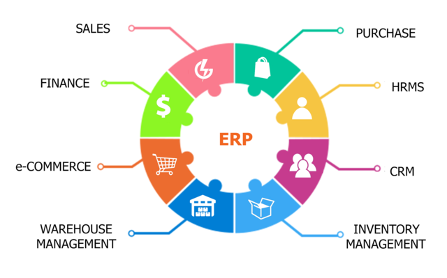 Enterprise Resource Planning (ERP)