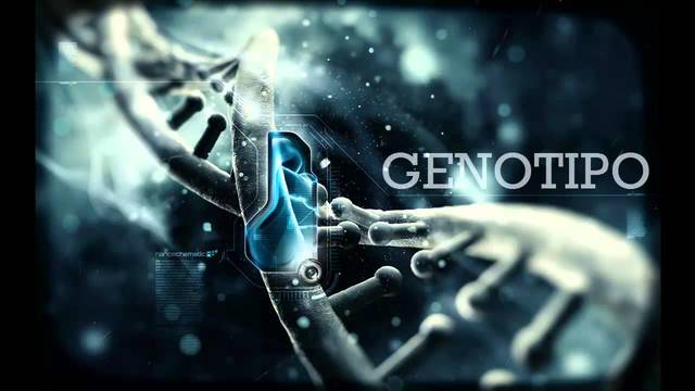 Genotipo