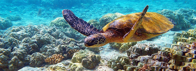 Séptimo Día- Mañana