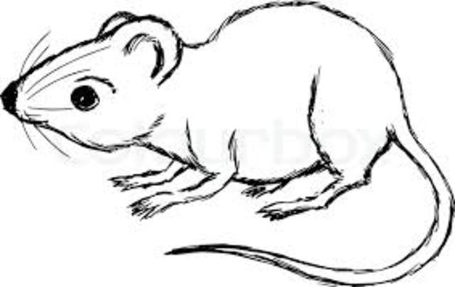 Federalismo y centralismo