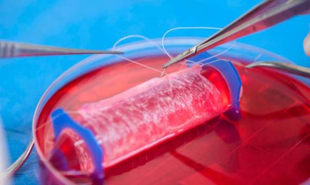 Fabricando tejido cardíaco