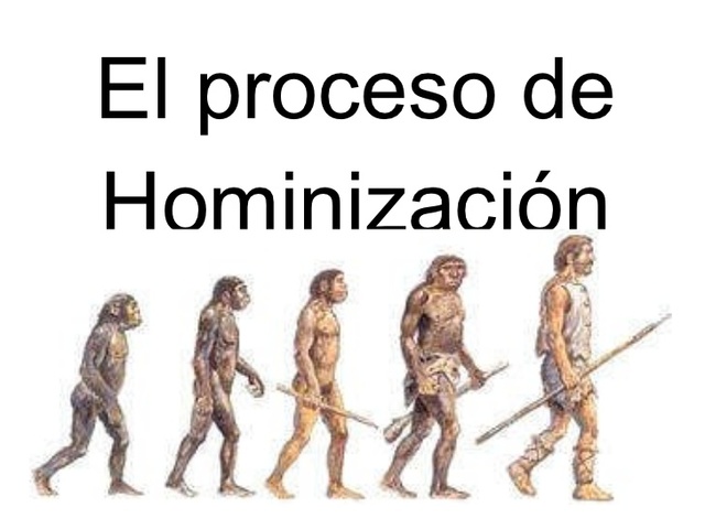 El proceso de hominizacion