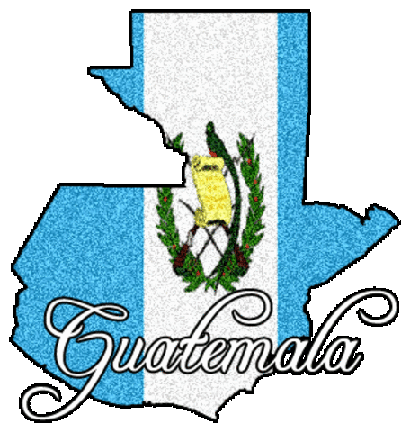 CONSTITUCION POLITICA DE LA REPUBLICA DE GUATEMALA