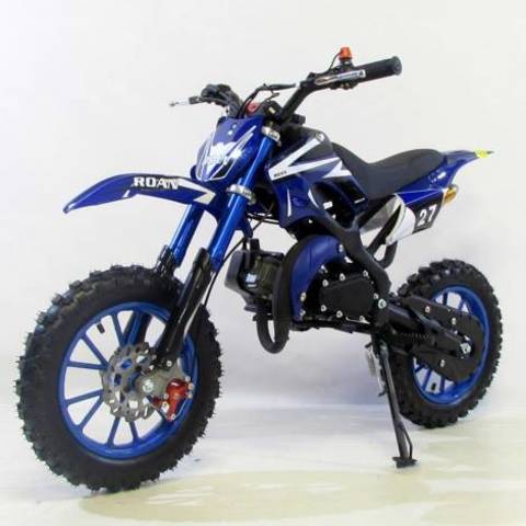 In 2015, my grandmother bought pocket-bike