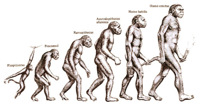 History Of The Earth Timeline Timetoast Timelines   C0139a1ff90b49ea750d7f860d0df48c