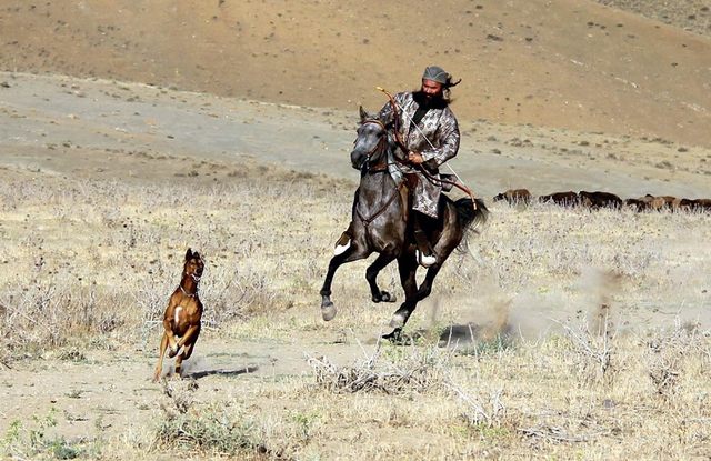 (S8) Eliminación de representaciones de hombres y animales en Irán