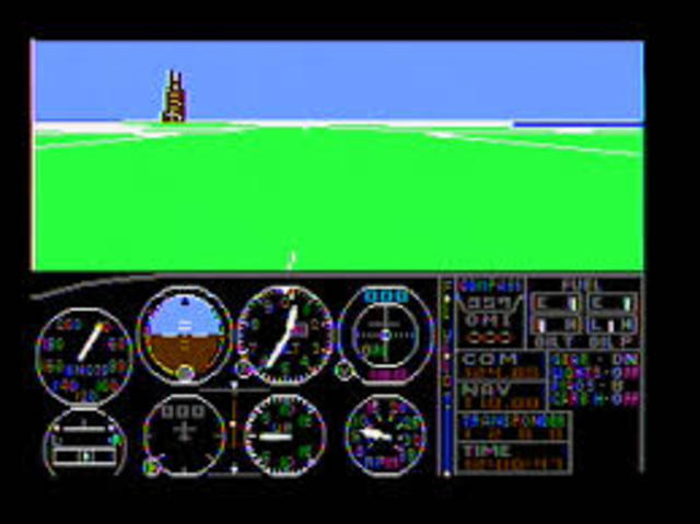 Flight Simulator