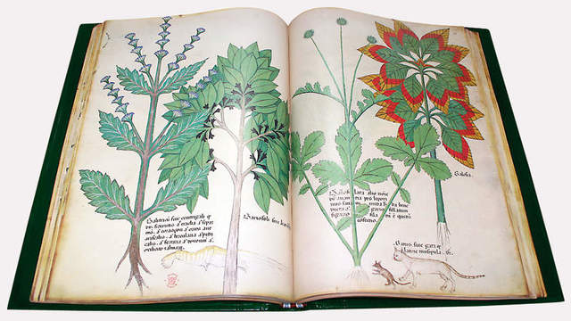 Albertus Magnus - De Vegetabilibus