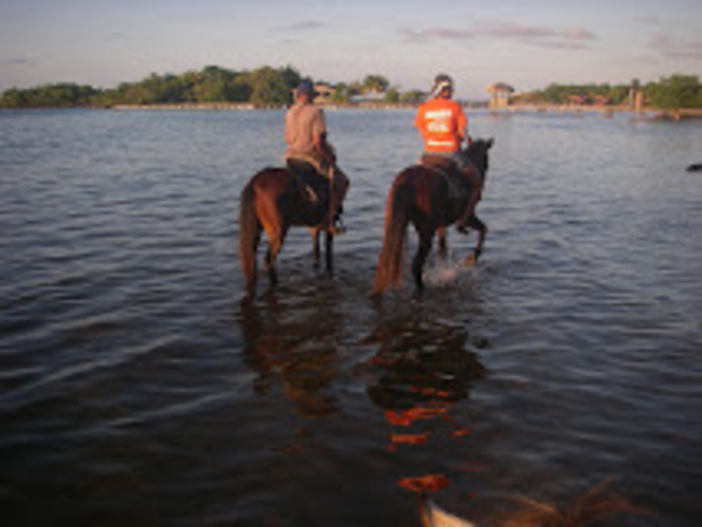 *Vamos a montar caballo!