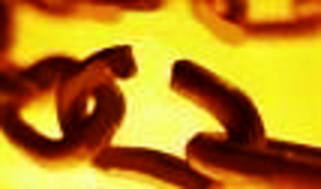 Emancipation of Slaves