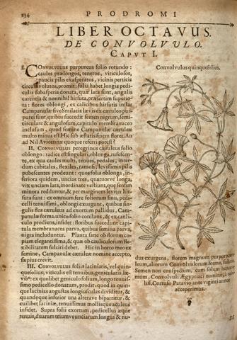 Gaspard Bauhin - Pinax theatri botanici