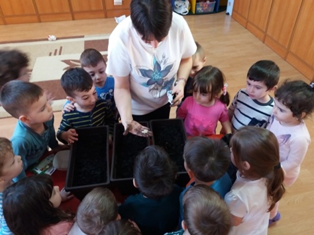 Rezolvare de probleme apărute, legate de dificultăţile apărute, sprijin pentru formularea obiectivelor aferente activităţilor ce vor urma.