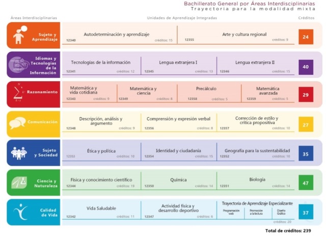 Desarrollo de la UAI