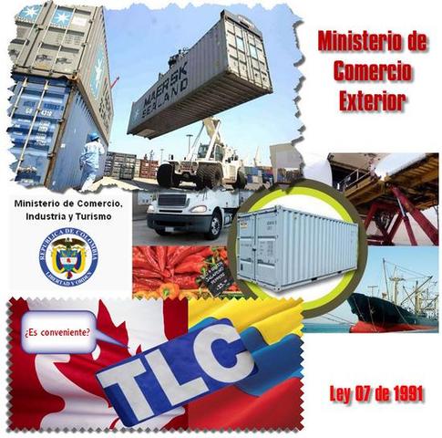 Ley 07 de 1991, Ministerio de Comercio Exterior.