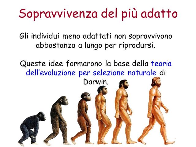 TEORIA DELL'EVOLUZIONISMO