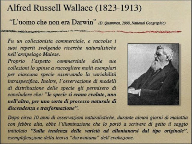 CREAZIONE DELLA TEORIA SULL'EVOLUZIONE