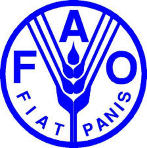 Creación FAO