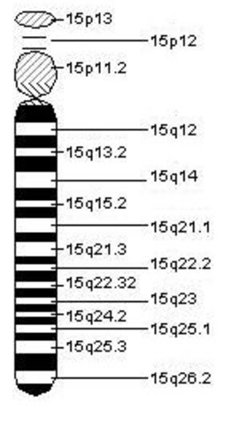 Síndrome de Angelman