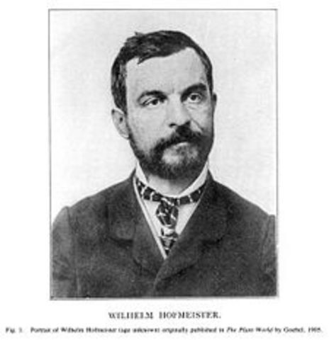Wilhem Hofmeister