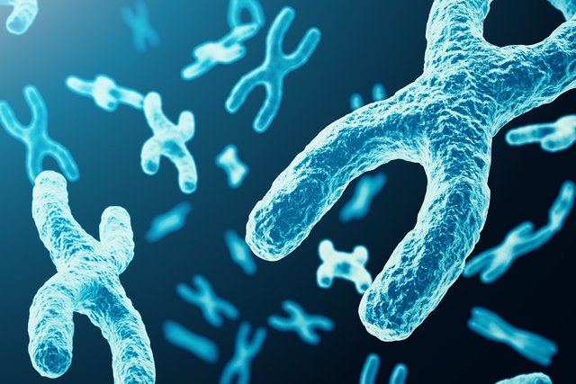 anomalias cromosomaticas