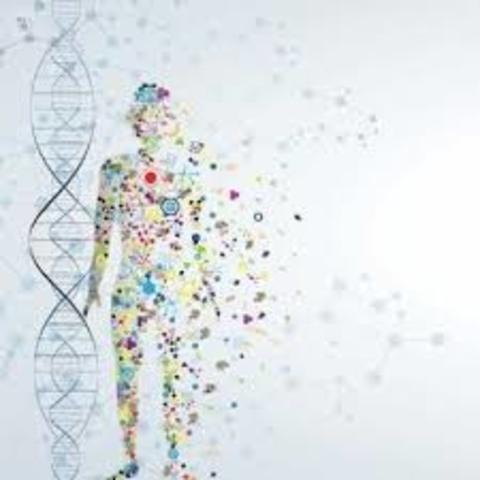 GENETICA 13 de marzo