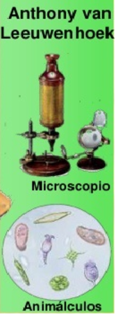 Anthony Van Leewenhoek