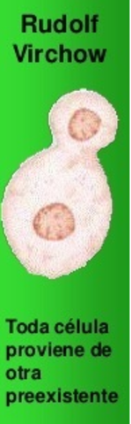 Rudolf Virchow