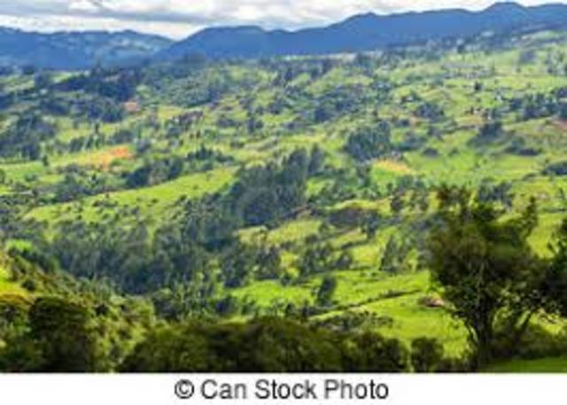 Vamos a ir en auto al campo*