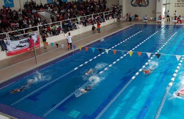 I won in 5 consecutive years a swimming tournament