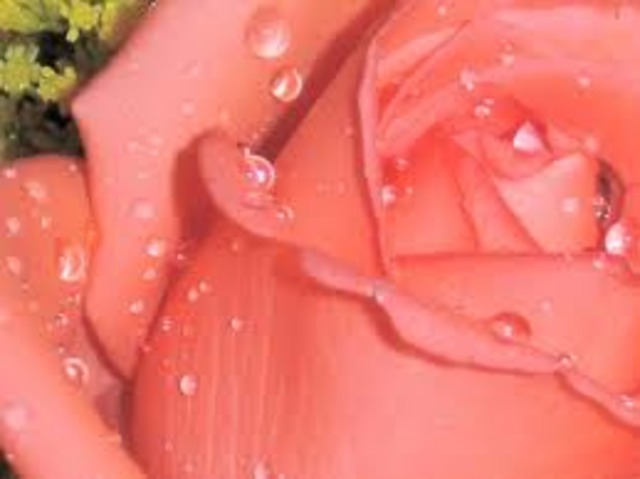 Actividades de desarrollo, primer actividad