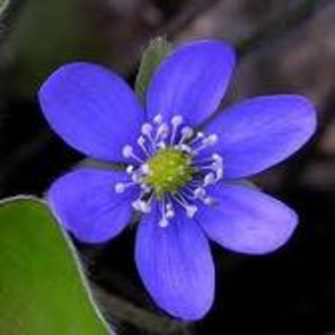 ultima actividad de cierre del tema.