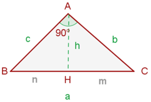 OBJETIVO ESPECIFICO 5